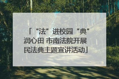 “法”进校园“典”润心田 市南法院开展民法典主题宣讲活动