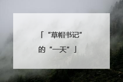 “草帽书记”的“一天”