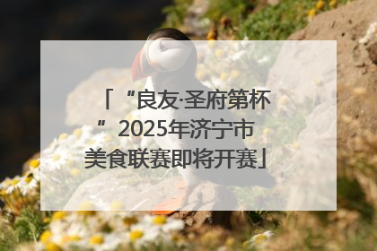 “良友·圣府第杯”2025年济宁市美食联赛即将开赛