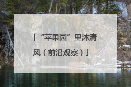 “苹果园”里沐清风（前沿观察）