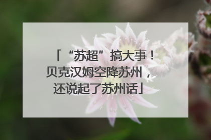 “苏超”搞大事！贝克汉姆空降苏州，还说起了苏州话