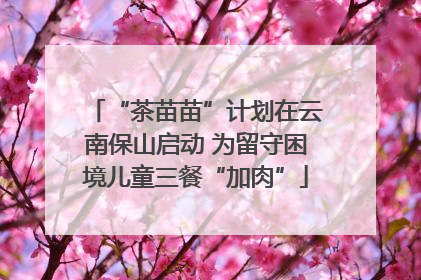 “茶苗苗”计划在云南保山启动 为留守困境儿童三餐“加肉”