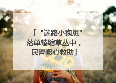 “迷路小狍崽”落单蜷缩草丛中，民警暖心救助