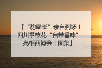 “豹局长”亲自到场！四川攀枝花“自带香味”亮相西博会丨图集