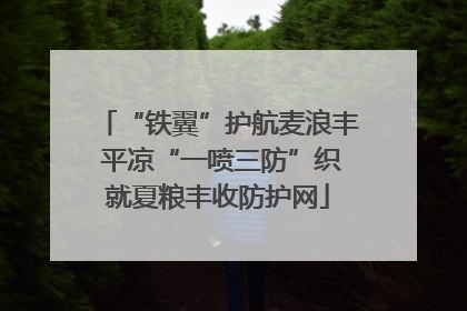“铁翼”护航麦浪丰 平凉“一喷三防”织就夏粮丰收防护网