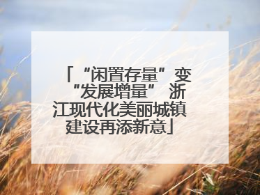 “闲置存量”变“发展增量” 浙江现代化美丽城镇建设再添新意