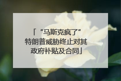 “马斯克疯了” 特朗普威胁终止对其政府补贴及合同