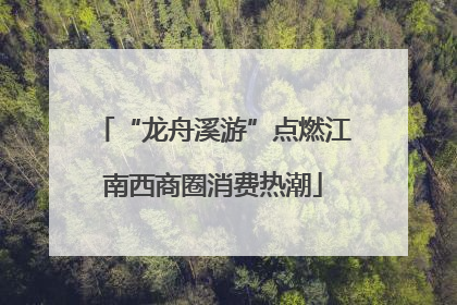 “龙舟溪游”点燃江南西商圈消费热潮