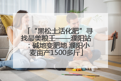 “黑松土活化肥”寻找最美粮王——濮阳站：碱地变肥地 濮阳小麦亩产1500多斤