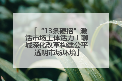 “13条硬招”激活市场主体活力！聊城深化改革构建公平透明市场环境