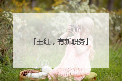 王红，有新职务