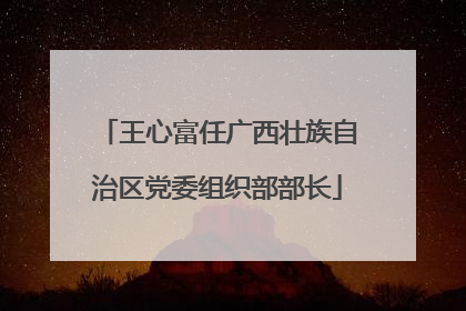 王心富任广西壮族自治区党委组织部部长