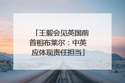 王毅会见英国前首相布莱尔：中英应体现责任担当