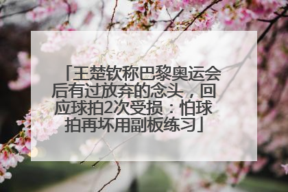 王楚钦称巴黎奥运会后有过放弃的念头，回应球拍2次受损：怕球拍再坏用副板练习