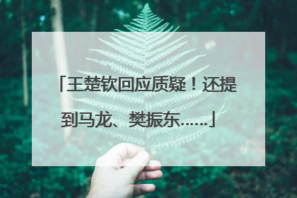 王楚钦回应质疑！还提到马龙、樊振东……