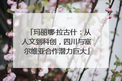 玛丽娜·拉古什：从人文到科创，四川与塞尔维亚合作潜力巨大