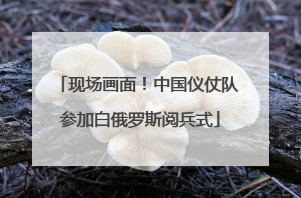 现场画面！中国仪仗队参加白俄罗斯阅兵式