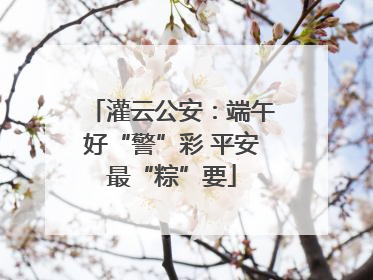 灌云公安：端午好“警”彩 平安最“粽”要