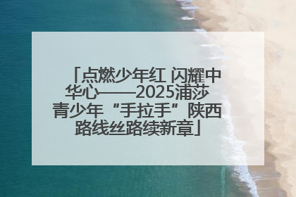 点燃少年红 闪耀中华心——2025浦莎青少年“手拉手”陕西路线丝路续新章