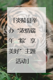炎陵县举办“浓情端午‘粽’享美好”主题活动