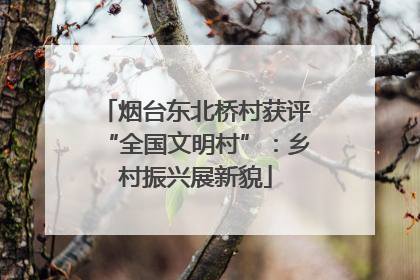 烟台东北桥村获评“全国文明村”：乡村振兴展新貌