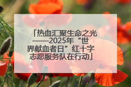热血汇聚生命之光——2025年“世界献血者日”红十字志愿服务队在行动