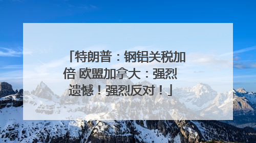 特朗普：钢铝关税加倍 欧盟加拿大：强烈遗憾！强烈反对！