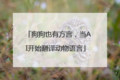 狗狗也有方言，当AI开始翻译动物语言