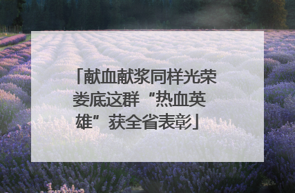 献血献浆同样光荣 娄底这群“热血英雄”获全省表彰