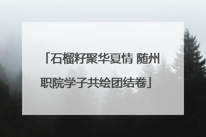 石榴籽聚华夏情 随州职院学子共绘团结卷