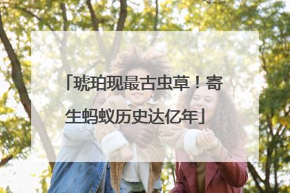 琥珀现最古虫草！寄生蚂蚁历史达亿年