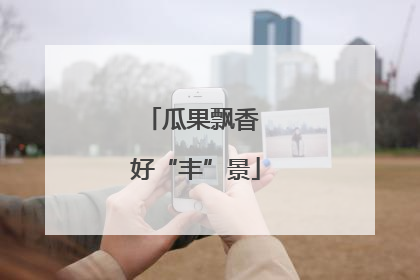瓜果飘香 好“丰”景