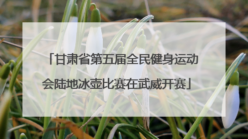 甘肃省第五届全民健身运动会陆地冰壶比赛在武威开赛