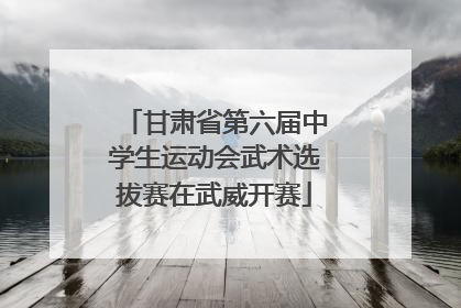 甘肃省第六届中学生运动会武术选拔赛在武威开赛