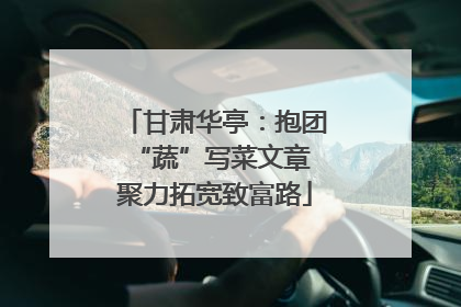 甘肃华亭：抱团“蔬”写菜文章 聚力拓宽致富路