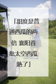 甜度是普通西瓜的两倍 襄阳首批太空西瓜熟了
