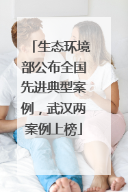 生态环境部公布全国先进典型案例，武汉两案例上榜