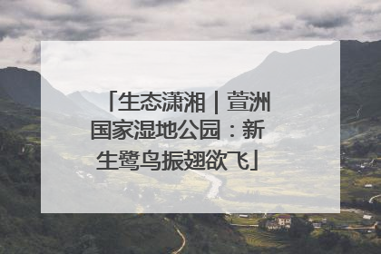 生态潇湘｜萱洲国家湿地公园：新生鹭鸟振翅欲飞