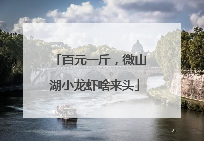 百元一斤，微山湖小龙虾啥来头