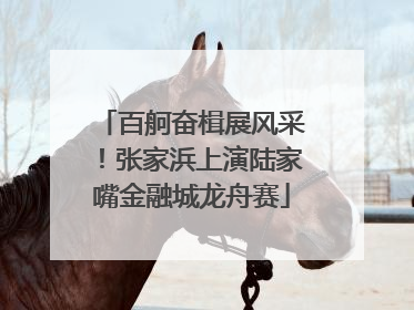 百舸奋楫展风采！张家浜上演陆家嘴金融城龙舟赛