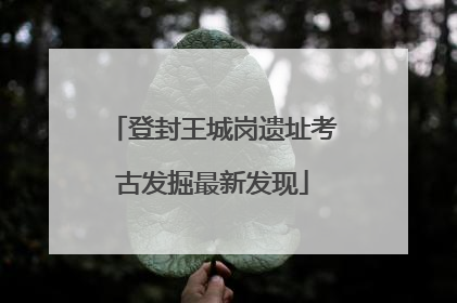 登封王城岗遗址考古发掘最新发现