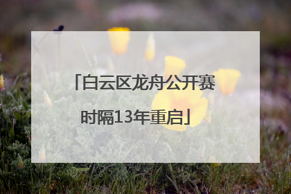 白云区龙舟公开赛时隔13年重启