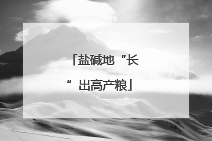 盐碱地“长”出高产粮