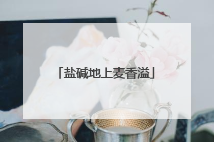 盐碱地上麦香溢