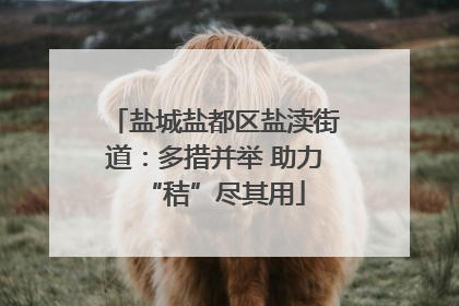 盐城盐都区盐渎街道：多措并举 助力“秸”尽其用