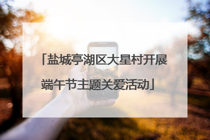 盐城亭湖区大星村开展端午节主题关爱活动