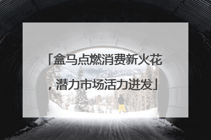 盒马点燃消费新火花，潜力市场活力迸发
