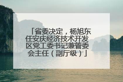 省委决定，杨旭东任安庆经济技术开发区党工委书记兼管委会主任（副厅级）