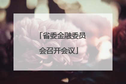 省委金融委员会召开会议