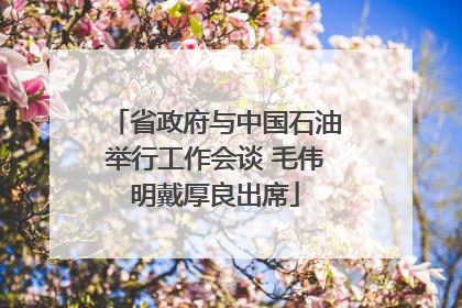 省政府与中国石油举行工作会谈 毛伟明戴厚良出席